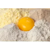 Распылительная сушилка для яиц
